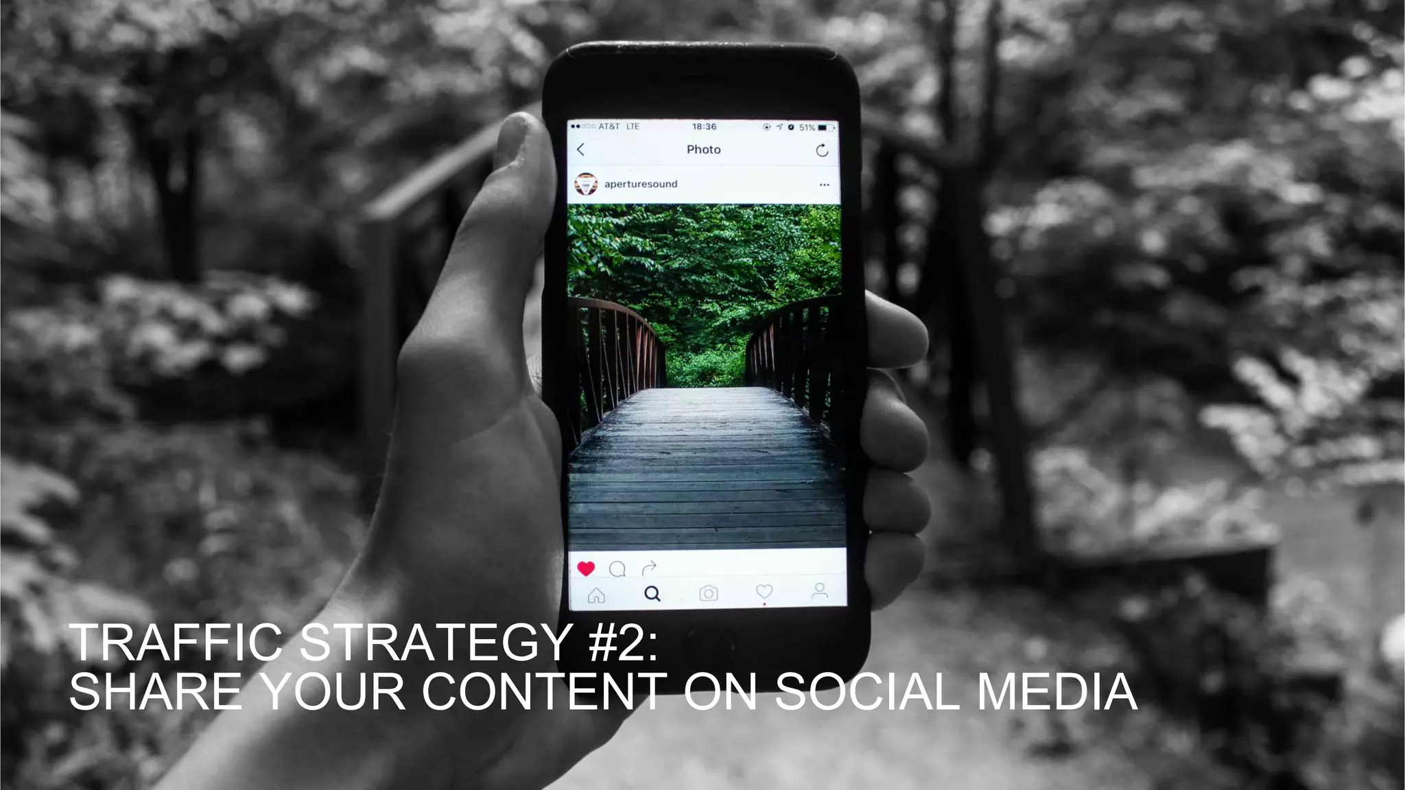 TRAFFIC STRATEGY #2:
SHARE YOUR CONTENT ON SOCIAL MEDIA
 