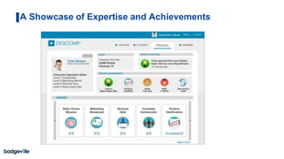 A Showcase of Expertise and Achievements
 