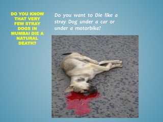 DO YOU KNOW
THAT VERY
FEW STRAY
DOGS IN
MUMBAI DIE A
NATURAL
DEATH?
Do you want to Die like a
stray Dog under a car or
under a motorbike?
 