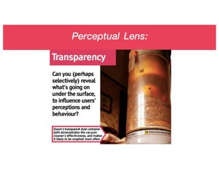 Perceptual Lens:
 