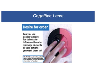 Cognitive Lens:
 