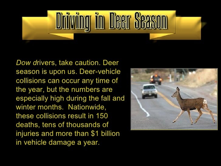 Driving Safe In Deer Season