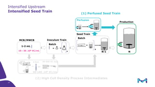 Intensified Upstream
Intensified Seed Train
Batch
x
1-2 mL
10 - 30 .106 VC/mL
N-1
or
x
Batch
MCB/MWCB Inoculum Train
Seed Train
Production
CRD
Perfusion
CRD
50-100 .106 VC/mL
or or
4.5mL 50-500 mL bag
CRD
CRD
N
CRD
(2) High Cell Density Process Intermediates
(1) Perfused Seed Train
19
 