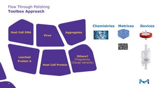 Toolbox Approach
Flow Through Polishing
Leached
Protein A
Aggregates
Virus
Host Cell DNA
Host Cell Protein
Others?
(Fragments,
Charge Variants)
Chemistries Matrices Devices
30
 