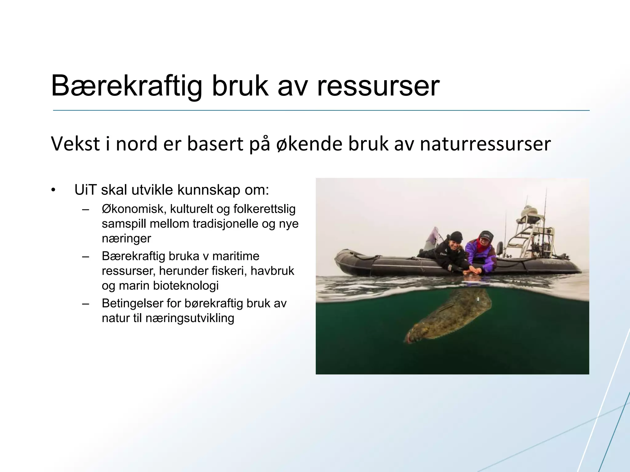 Bærekraftig bruk av ressurser 
Vekst i nord er basert på økende bruk av naturressurser 
• UiT skal utvikle kunnskap om: 
– Økonomisk, kulturelt og folkerettslig 
samspill mellom tradisjonelle og nye 
næringer 
– Bærekraftig bruka v maritime 
ressurser, herunder fiskeri, havbruk 
og marin bioteknologi 
– Betingelser for børekraftig bruk av 
natur til næringsutvikling 
 