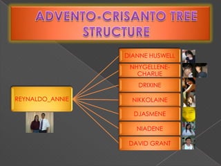 ADVENTO-CRISANTO TREE STRUCTURE 