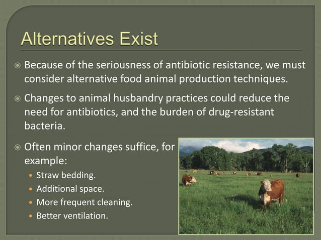 Alternatives to Antibiotic Use in Food Animal Production | PPTX