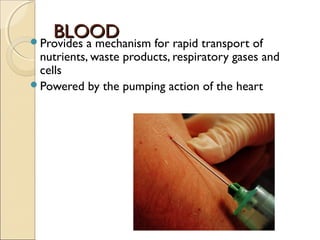 BLOODBLOODProvides a mechanism for rapid transport of
nutrients, waste products, respiratory gases and
cells
Powered by the pumping action of the heart
 