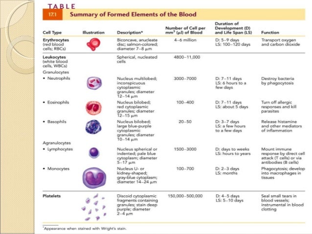 chart for 4d blood chart for 4d blood