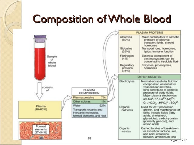 blood