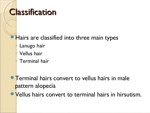 Dr Jennifer Martinick Warning About Hair Disorders