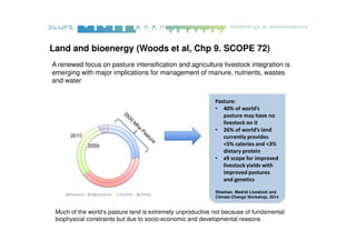 Land and bioenergy (Woods et al, Chp 9. SCOPE 72)
2010
Pasture Agriculture Forests Other
2050
Pasture:
• 40% of world’s
pa...