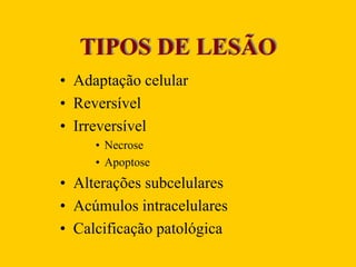 TIPOS DE LESÃO
• Adaptação celular
• Reversível
• Irreversível
• Necrose
• Apoptose
• Alterações subcelulares
• Acúmulos intracelulares
• Calcificação patológica
 