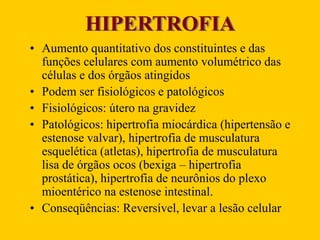 HIPERTROFIA
• Aumento quantitativo dos constituintes e das
funções celulares com aumento volumétrico das
células e dos órgãos atingidos
• Podem ser fisiológicos e patológicos
• Fisiológicos: útero na gravidez
• Patológicos: hipertrofia miocárdica (hipertensão e
estenose valvar), hipertrofia de musculatura
esquelética (atletas), hipertrofia de musculatura
lisa de órgãos ocos (bexiga – hipertrofia
prostática), hipertrofia de neurônios do plexo
mioentérico na estenose intestinal.
• Conseqüências: Reversível, levar a lesão celular
 