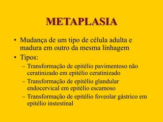 METAPLASIA
• Mudança de um tipo de célula adulta e
madura em outro da mesma linhagem
• Tipos:
– Transformação de epitélio pavimentoso não
ceratinizado em epitélio ceratinizado
– Transformação de epitélio glandular
endocervical em epitélio escamoso
– Transformação de epitélio foveolar gástrico em
epitélio instestinal
 