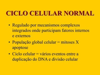 CICLO CELULAR NORMAL
• Regulado por mecanismos complexos
integrados onde participam fatores internos
e externos
• População global celular = mitoses X
apoptose
• Ciclo celular = vários eventos entre a
duplicação do DNA e divisão celular
 