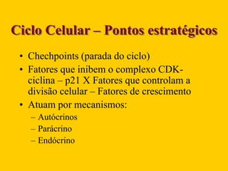 Ciclo Celular – Pontos estratégicos
• Chechpoints (parada do ciclo)
• Fatores que inibem o complexo CDK-
ciclina – p21 X Fatores que controlam a
divisão celular – Fatores de crescimento
• Atuam por mecanismos:
– Autócrinos
– Parácrino
– Endócrino
 