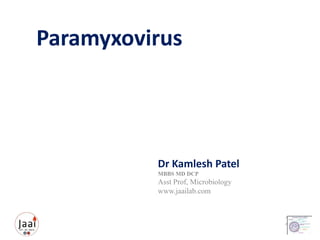 Paramyxovirus
Dr Kamlesh Patel
MBBS MD DCP
Asst Prof, Microbiology
www.jaailab.com
 