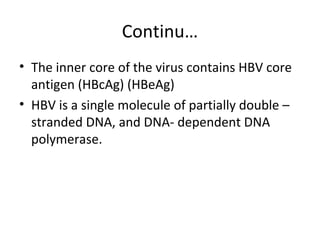 Continu…
• The inner core of the virus contains HBV core
  antigen (HBcAg) (HBeAg)
• HBV is a single molecule of partially double –
  stranded DNA, and DNA- dependent DNA
  polymerase.
 