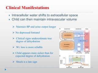 Clinical Manifestations
 Intracellular water shifts to extracellular space
 Child can then maintain intravascular volume
 Maintain BP and urine output longer
 No depressed fontanel
 Clinical signs underestimate true
degree of dehydration
 Wt. loss is more reliable
 Child appears more sicker than for
expected degree of dehydration
 Shock is a late sign
 