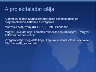 A projekt során vizsgált kérdések, elérendő célok  