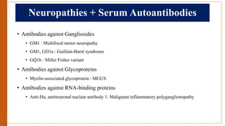 Neuropathies + Serum Autoantibodies
• Antibodies against Gangliosides
• GM1 : Multifocal motor neuropathy
• GM1, GD1a : Guillain-Barré syndrome
• GQ1b : Miller Fisher variant
• Antibodies against Glycoproteins
• Myelin-associated glycoprotein : MGUS
• Antibodies against RNA-binding proteins
• Anti-Hu, antineuronal nuclear antibody 1: Malignant inflammatory polyganglionopathy
 