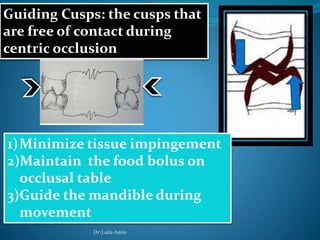 Guiding Cusps: the cusps that
are free of contact during
centric occlusion
1)Minimize tissue impingement
2)Maintain the food bolus on
occlusal table
3)Guide the mandible during
movement
DrLaila Amin
 