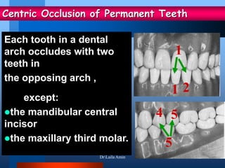 Centric Occlusion of Permanent Teeth
Each tooth in a dental
arch occludes with two
teeth in
the opposing arch ,
except:
the mandibular central
incisor
the maxillary third molar.
1
1 2
5
5
4
DrLaila Amin
 