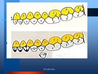 DrLaila Amin
 