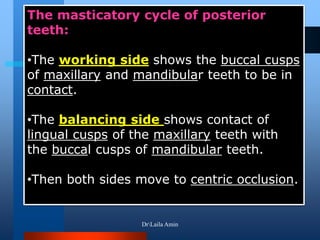 The masticatory cycle of posterior
teeth:
•The working side shows the buccal cusps
of maxillary and mandibular teeth to be in
contact.
•The balancing side shows contact of
lingual cusps of the maxillary teeth with
the buccal cusps of mandibular teeth.
•Then both sides move to centric occlusion.
DrLaila Amin
 