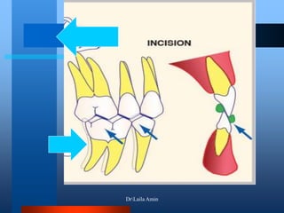 DrLaila Amin
 
