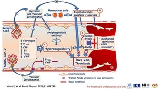 For healthcare professionals use only.
 
