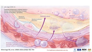 For healthcare professionals use only.
 