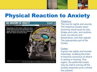 Physical Reaction to Anxiety
                  Thalamus:
                  The hub for sights and sounds,
                  The thalamus breaks down
                  Incoming visual ques by size,
                  Shape and color, and auditory
                  Cues, by volume and
                  Dissonance, and then signals
                  The appropriate part of the
                  Cortex.

                  Cortex:
                  It gives raw sights and sounds
                  meanings, enabling the brain
                  to become conscious of what it
                  Is seeing or hearing. One
                  region, the prefrontal cortex,
                  may be vital to turning off the
                  anxiety response once a threat
                  has passed.
 