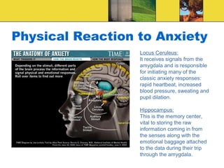 Physical Reaction to Anxiety
                  Locus Ceruleus:
                  It receives signals from the
                  amygdala and is responsible
                  for initiating many of the
                  classic anxiety responses:
                  rapid heartbeat, increased
                  blood pressure, sweating and
                  pupil dilation.

                  Hippocampus:
                  This is the memory center,
                  vital to storing the raw
                  information coming in from
                  the senses along with the
                  emotional baggage attached
                  to the data during their trip
                  through the amygdala.
 