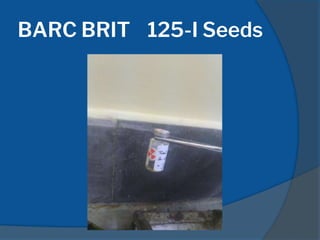BARC BRIT 125-I Seeds
 