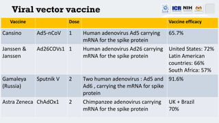 Viral vector vaccine
Vaccine Dose Vaccine efficacy
Cansino Ad5-nCoV 1 Human adenovirus Ad5 carrying
mRNA for the spike protein
65.7%
Janssen &
Janssen
Ad26COVs1 1 Human adenovirus Ad26 carrying
mRNA for the spike protein
United States: 72%
Latin American
countries: 66%
South Africa: 57%
Gamaleya
(Russia)
Sputnik V 2 Two human adenovirus : Ad5 and
Ad6 , carrying the mRNA for spike
protein
91.6%
Astra Zeneca ChAdOx1 2 Chimpanzee adenovirus carrying
mRNA for the spike protein
UK + Brazil
70%
 