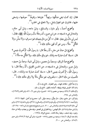 الدر المنثور في التفسير بالمأثور للإمام السيوطي 4