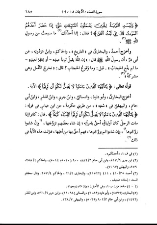 الدر المنثور في التفسير بالمأثور للإمام السيوطي 4