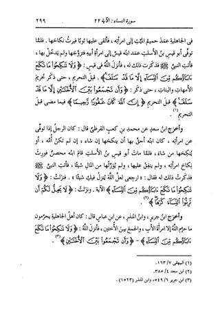 الدر المنثور في التفسير بالمأثور للإمام السيوطي 4