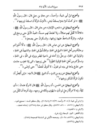 الدر المنثور في التفسير بالمأثور للإمام السيوطي 4
