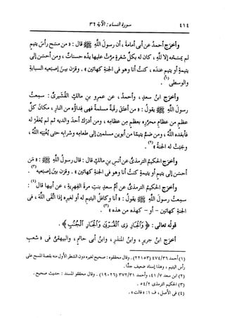 الدر المنثور في التفسير بالمأثور للإمام السيوطي 4