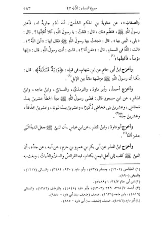 الدر المنثور في التفسير بالمأثور للإمام السيوطي 4