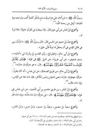 الدر المنثور في التفسير بالمأثور للإمام السيوطي 4