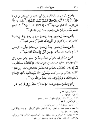 الدر المنثور في التفسير بالمأثور للإمام السيوطي 4