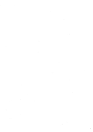 الدر المنثور في التفسير بالمأثور للإمام السيوطي 4