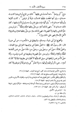 الدر المنثور في التفسير بالمأثور للإمام السيوطي 7