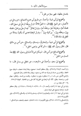 الدر المنثور في التفسير بالمأثور للإمام السيوطي 7
