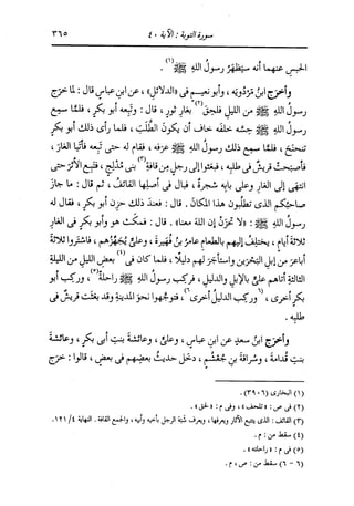 الدر المنثور في التفسير بالمأثور للإمام السيوطي 7