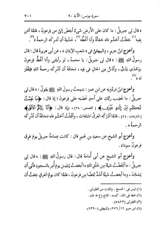 الدر المنثور في التفسير بالمأثور للإمام السيوطي 7